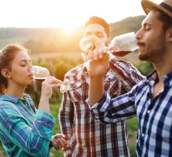 Wine Tasting & Tours