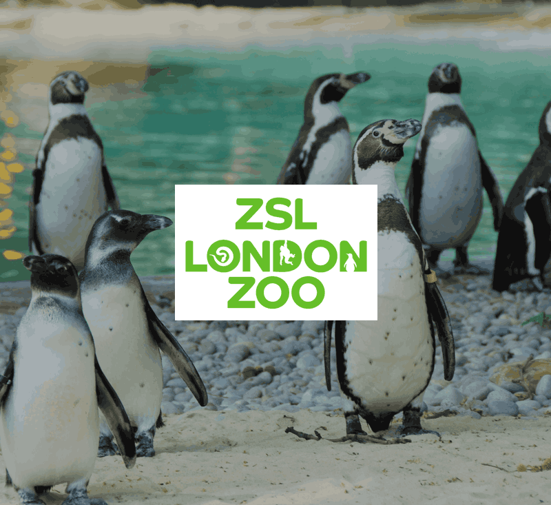 London Zoo London Zoo